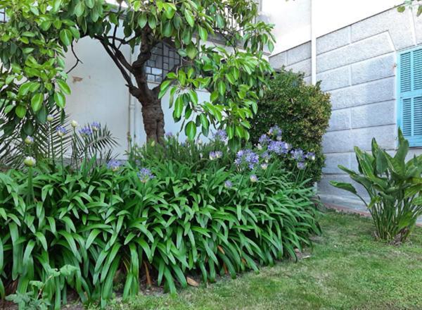 فيلا Casa Gazzano إمبيريا المظهر الخارجي الصورة